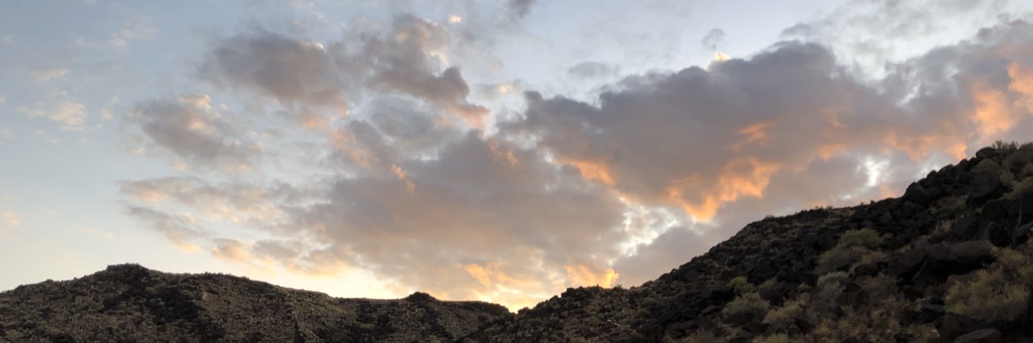 SFiedeldey's profile banner image