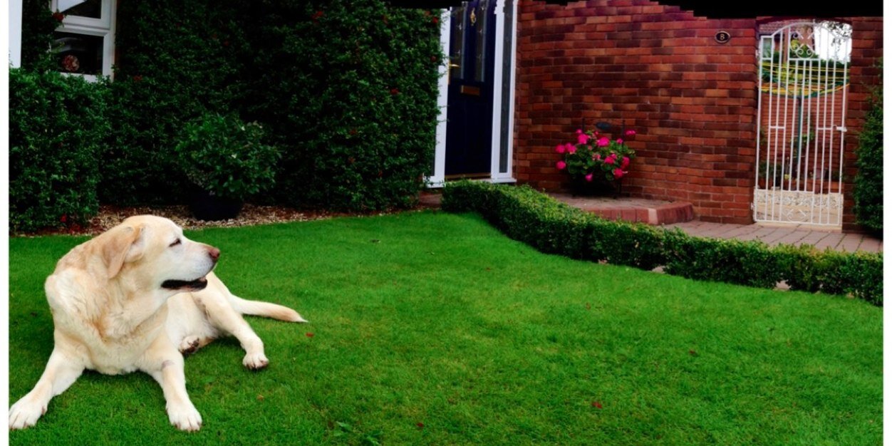 David Feather banner