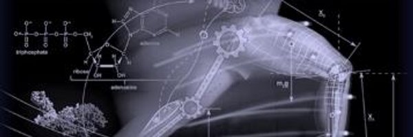 scattonesilva Profile Banner