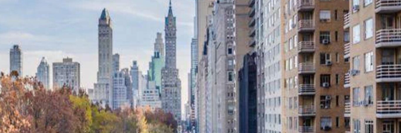 superbienok's profile banner image