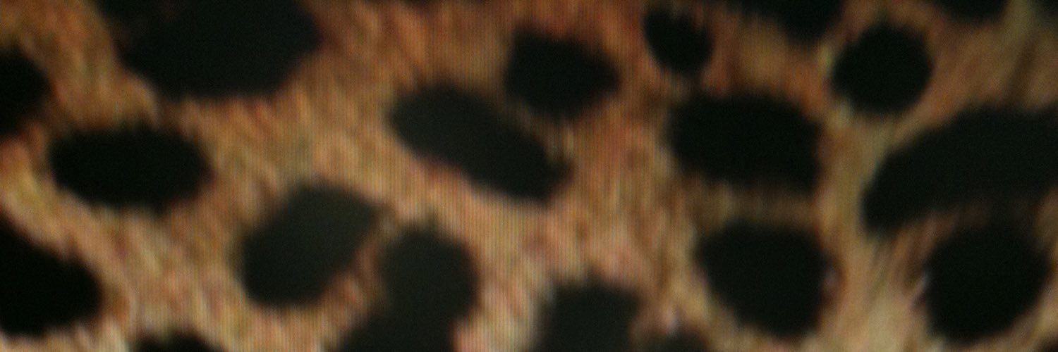emma_j81's profile banner image