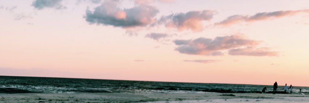 mcinneskristin's profile banner image