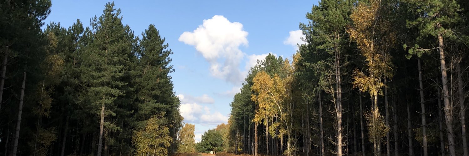 SheldrakeLauren's profile banner image