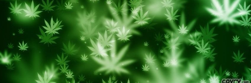 Chronic🇨🇦 banner