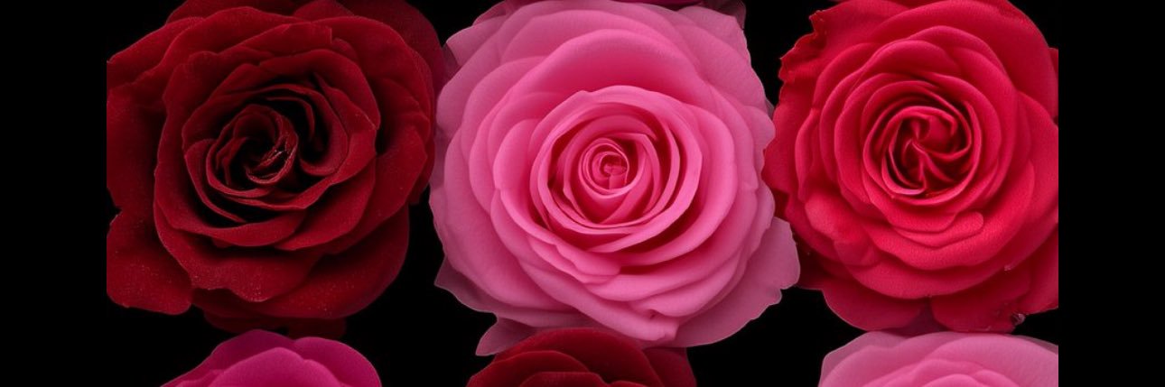 _onlyy1naee's profile banner image