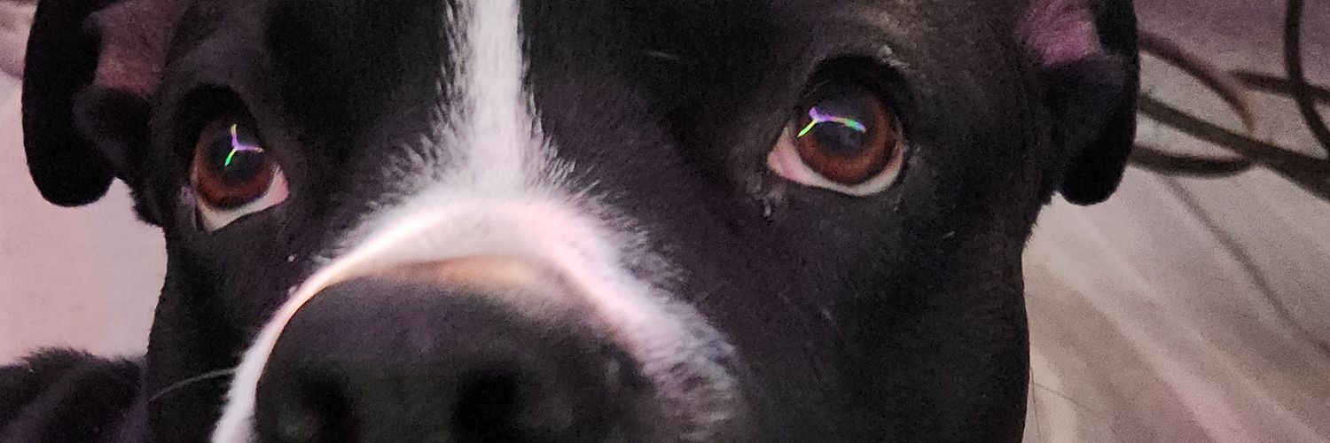 fugleigh's profile banner image