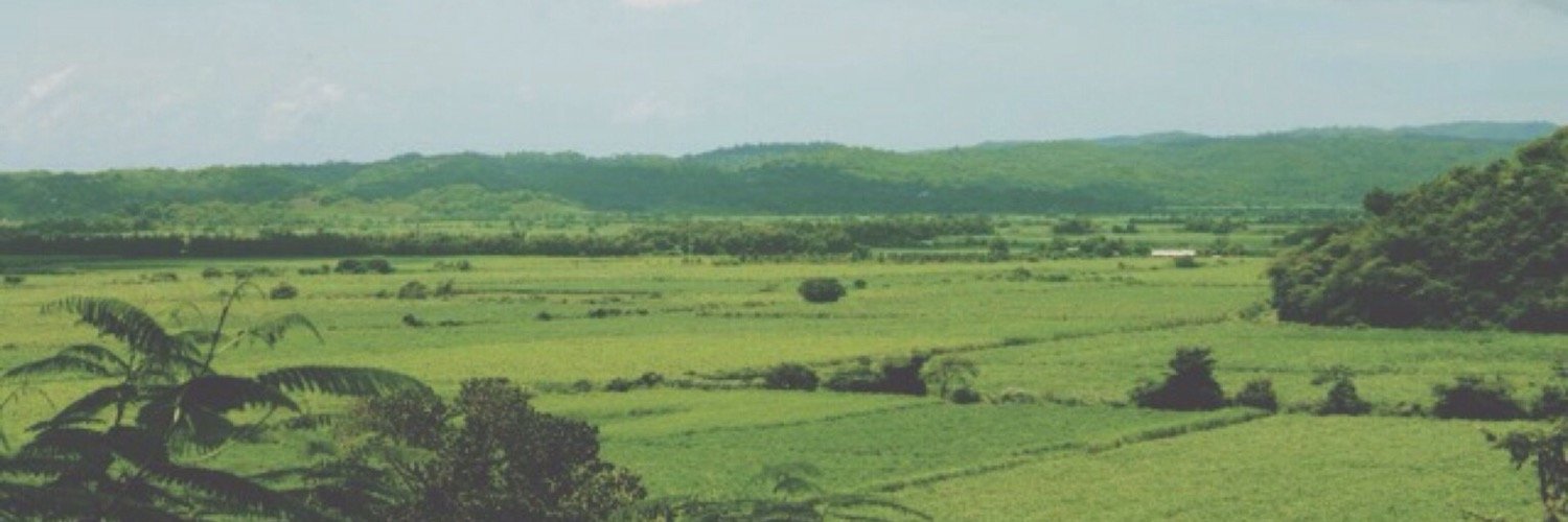 d_powPT's profile banner image