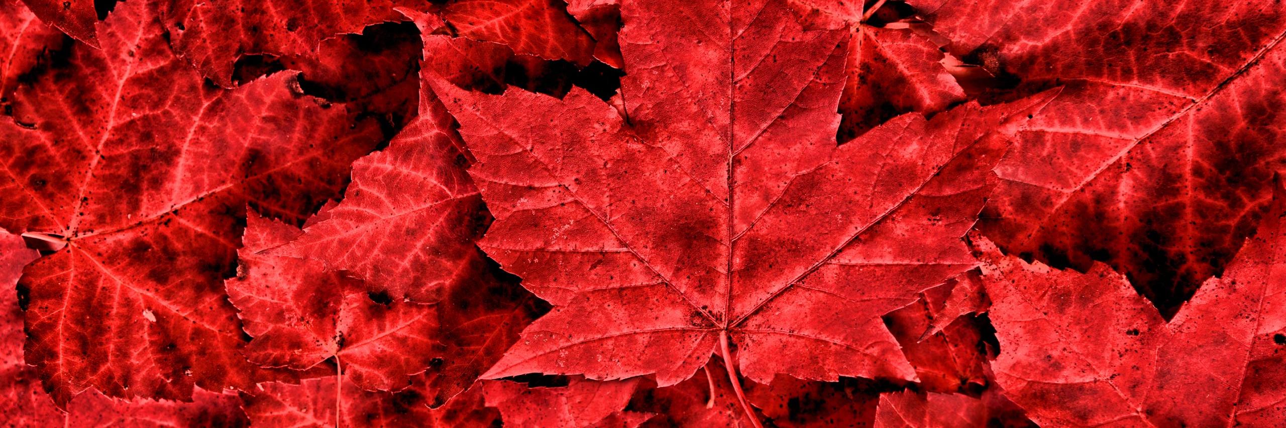 cglobalc's profile banner image