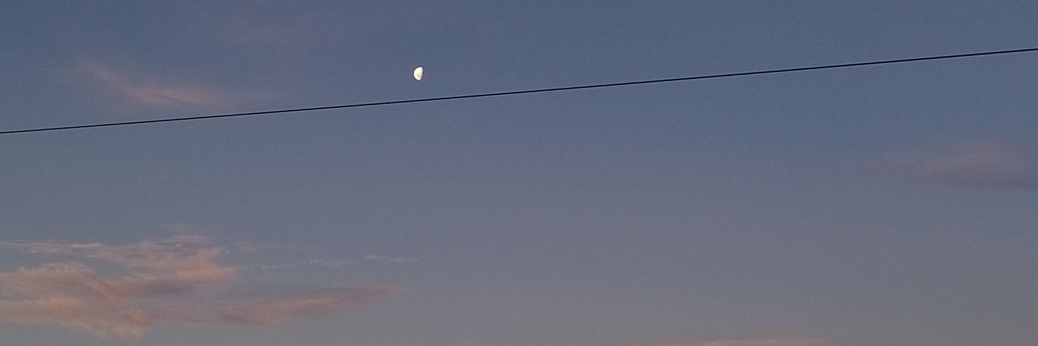 mxrmex's profile banner image