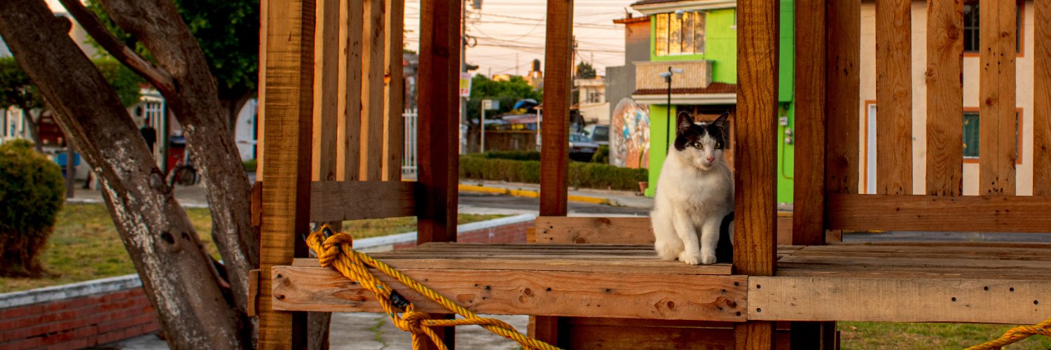 YashisaIto's profile banner image