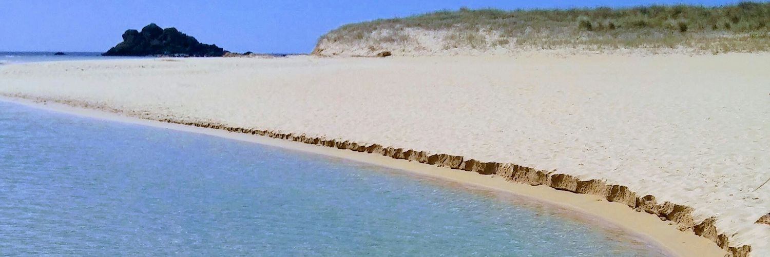 SoleCanda's profile banner image