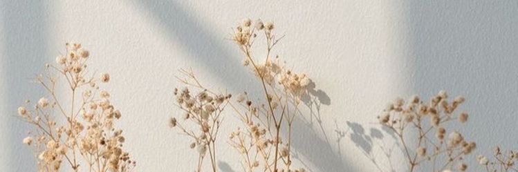 thestainedring's profile banner image