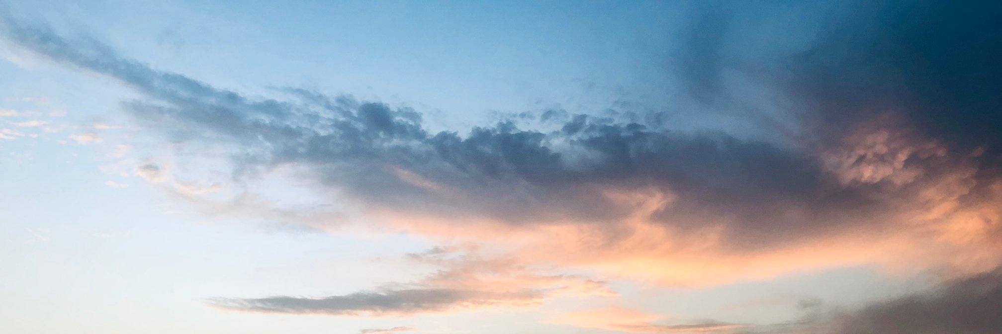 Roya_Al's profile banner image