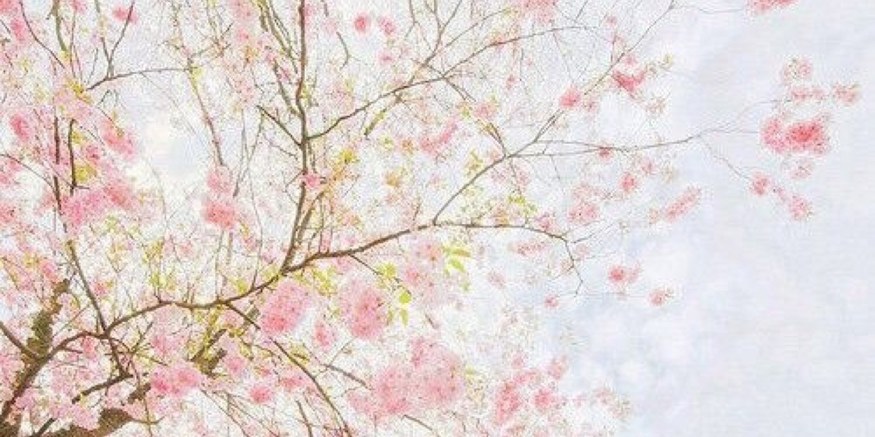 AMBERDiEKS_'s profile banner image