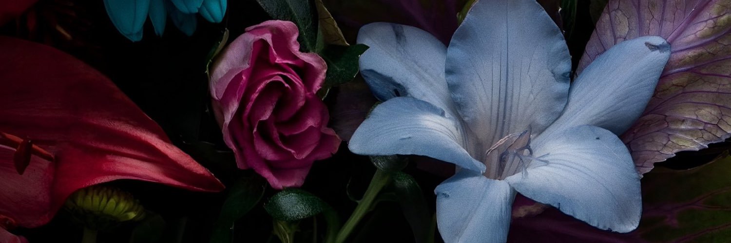 blancuuuh_'s profile banner image