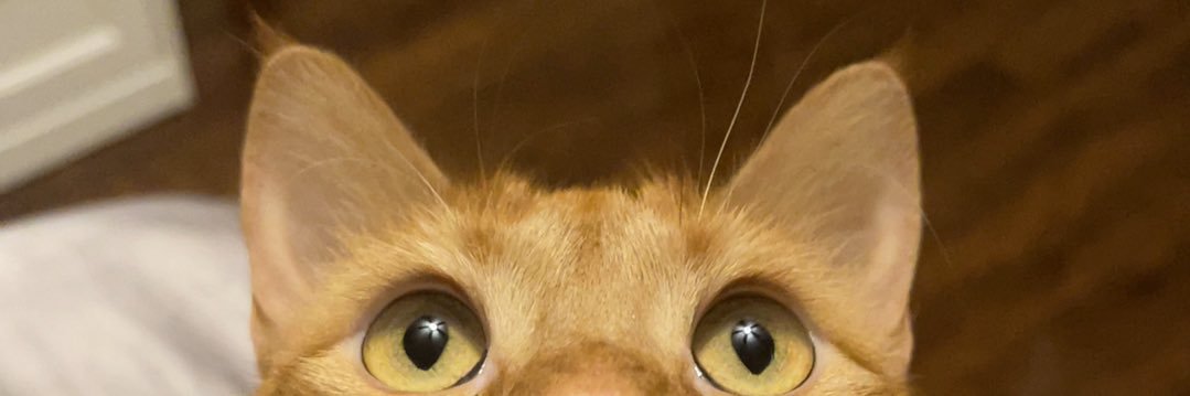 brook3tay's profile banner image