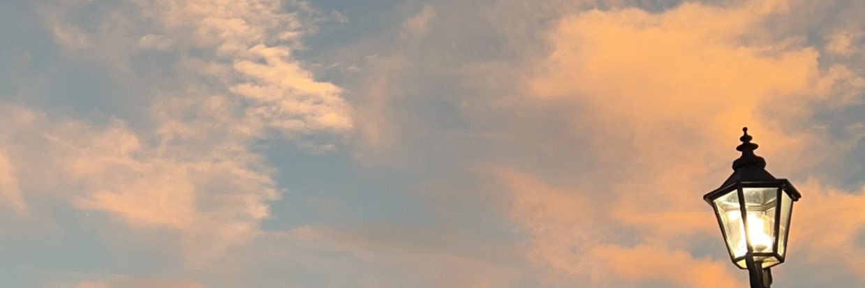 SaigeSutterlin's profile banner image
