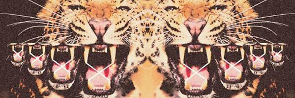 DitteScharling's profile banner image