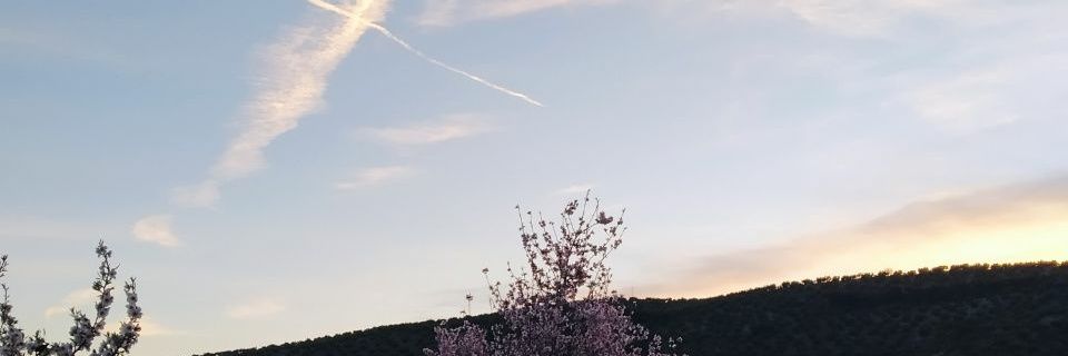 bluebrp's profile banner image