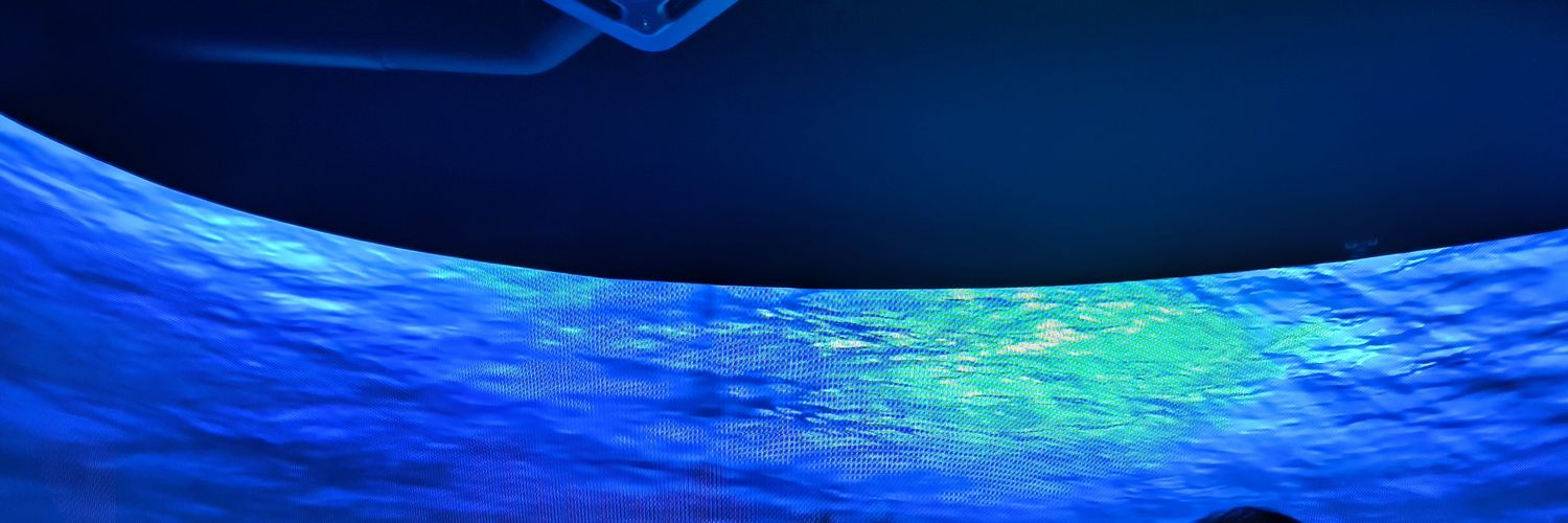 spongyWonderer's profile banner image