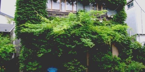 harriesddgdr's profile banner image