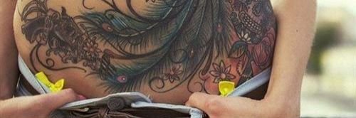 569Carel's profile banner image
