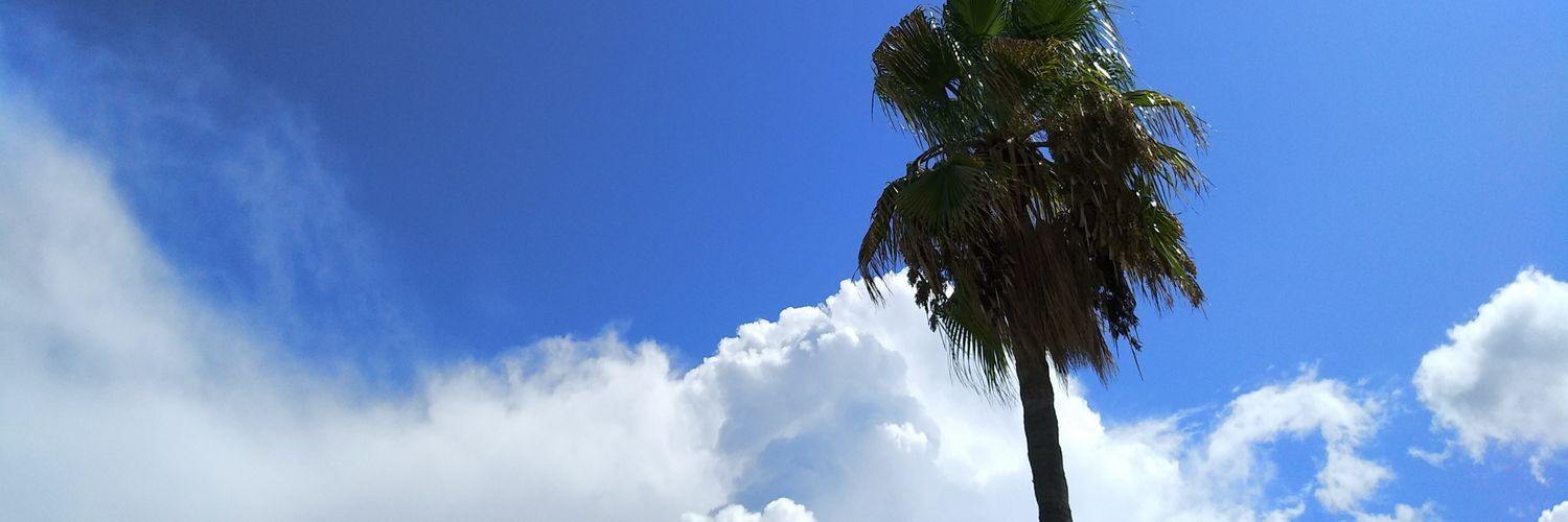 oriolobos's profile banner image