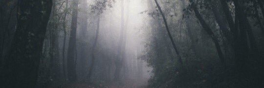 lessssslie_'s profile banner image