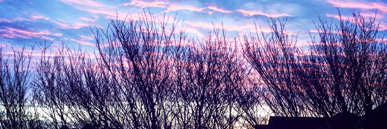 MissCarlyPearce's profile banner image