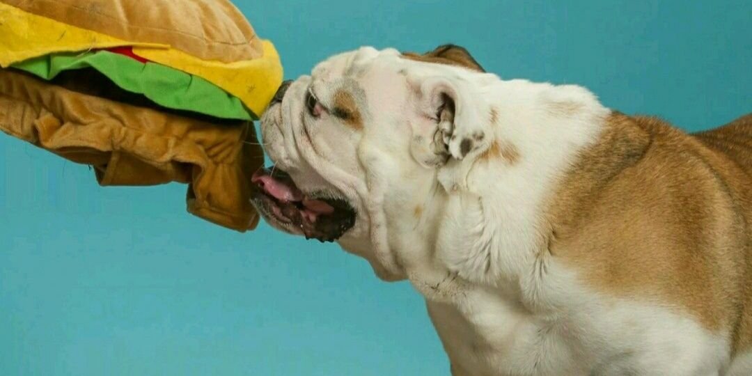 realsackedlunch's profile banner image