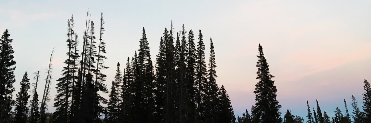 Kyleebawden's profile banner image