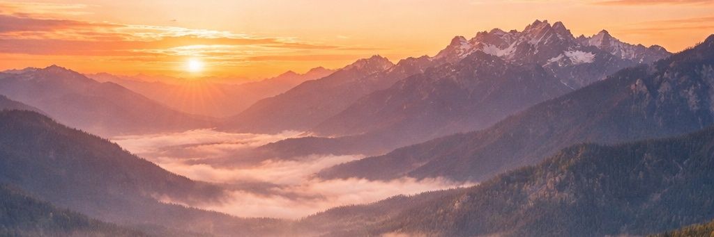 mandy_omare's profile banner image