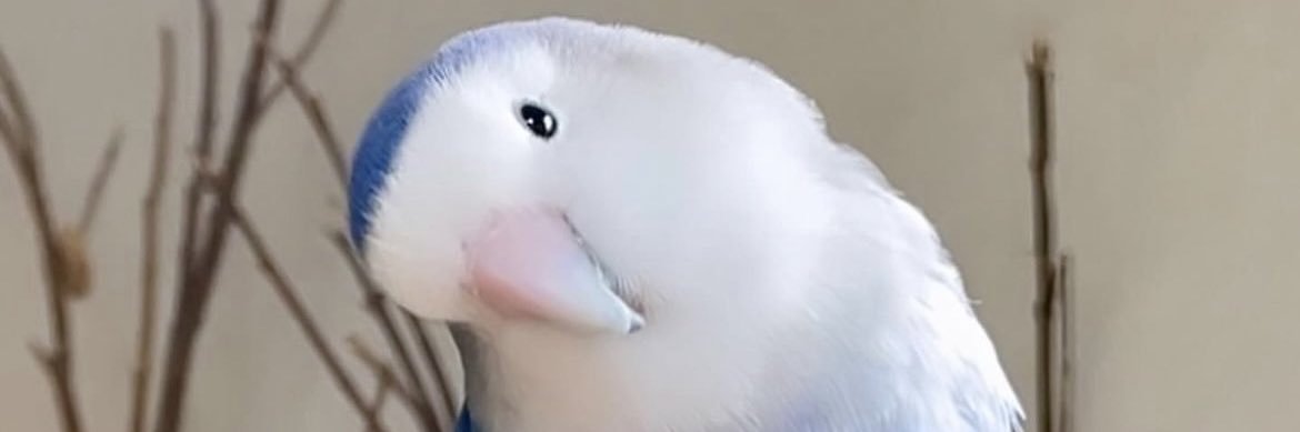 ElhudaNuha's profile banner image