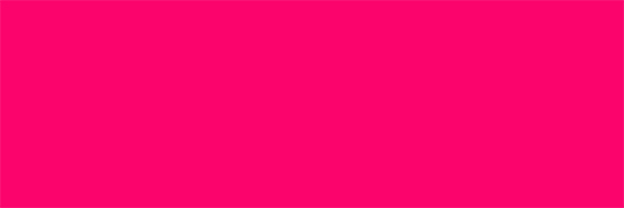 Plum & Beans banner