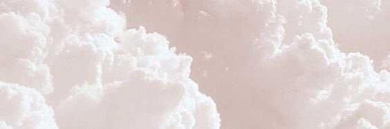 mediterradical's profile banner image