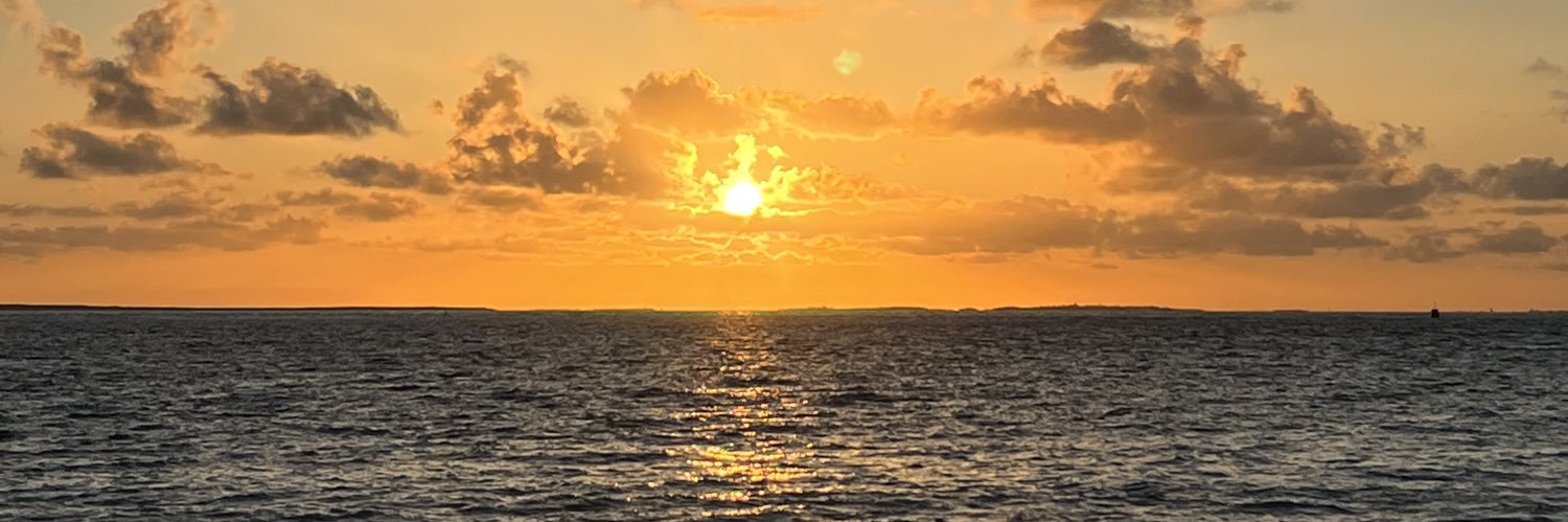 lisialg's profile banner image