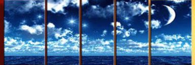 terrenstere's profile banner image