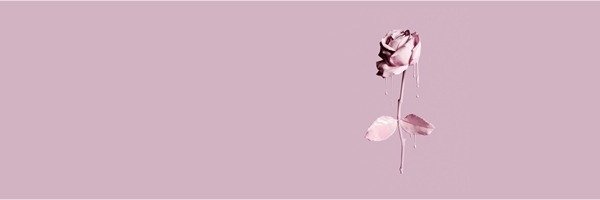 haniabaki's profile banner image