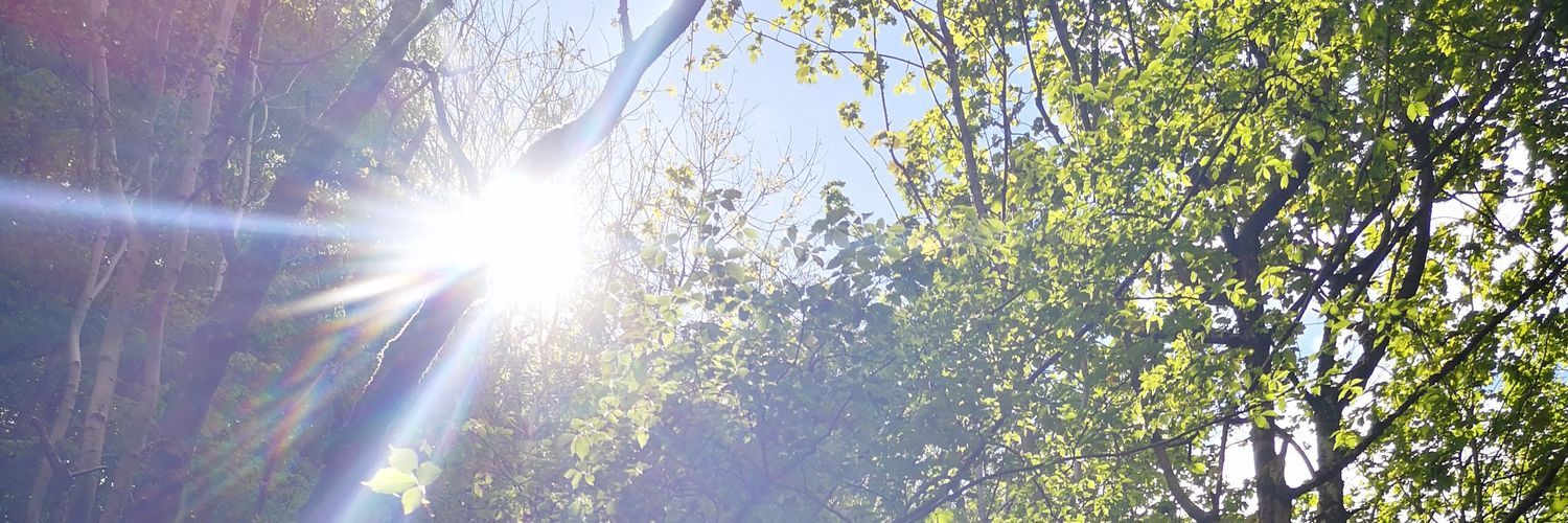 KiralGraham's profile banner image