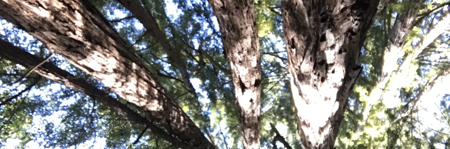 qdolan3's profile banner image