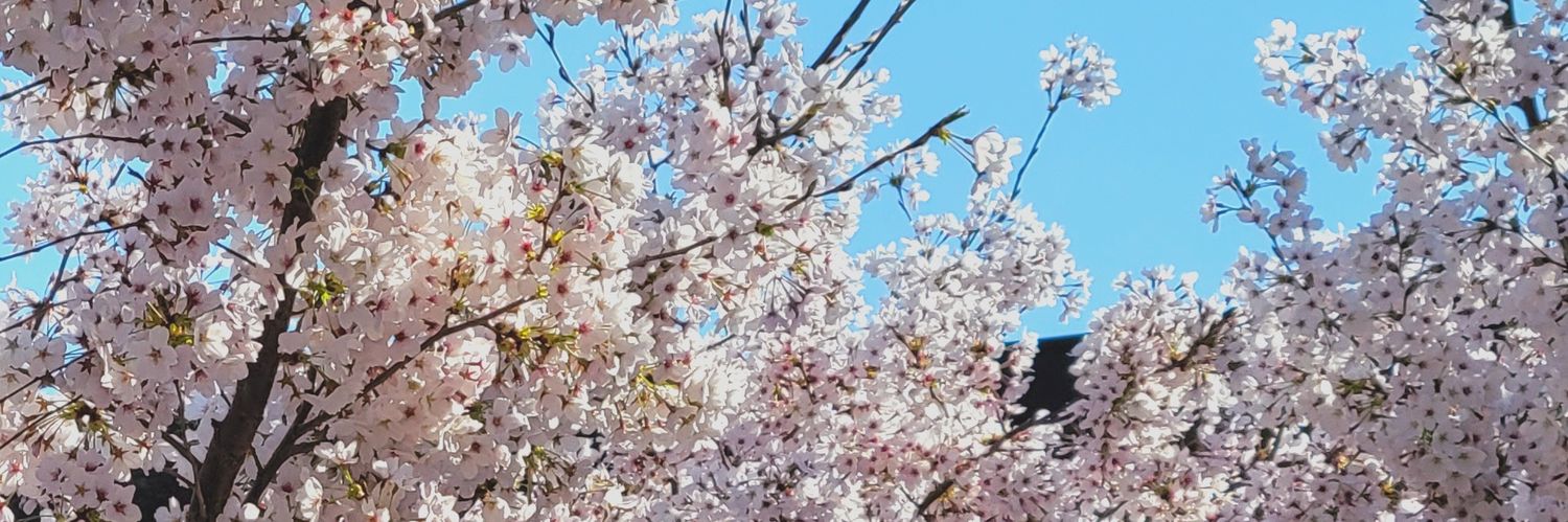 hamu_68's profile banner image