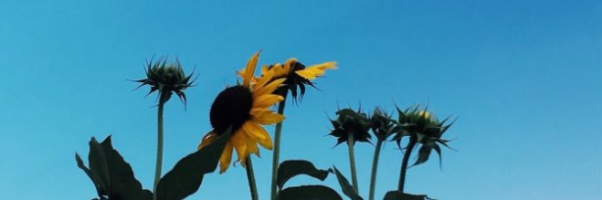 AnnieMN99's profile banner image