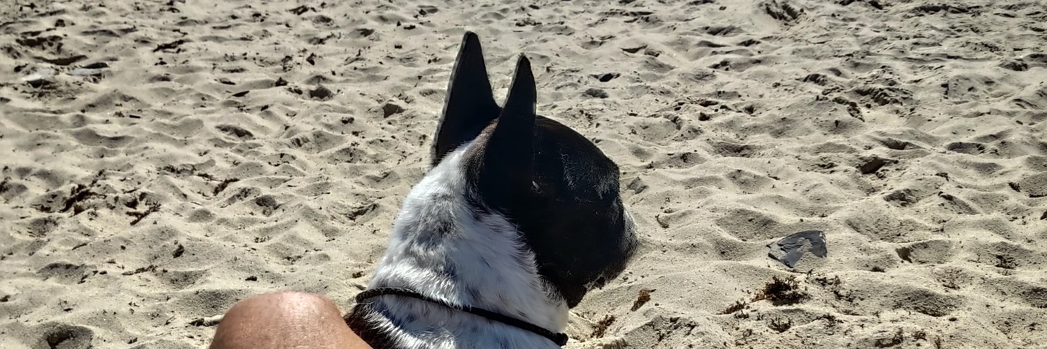 chinffly's profile banner image