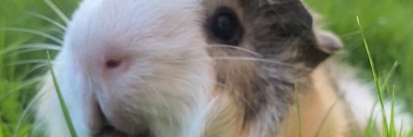 TeyerRuben's profile banner image