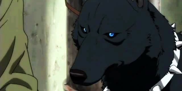 bluewolfsrain's profile banner image