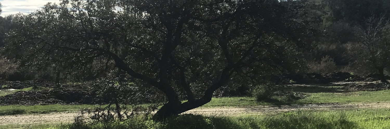 Wencygallagher's profile banner image