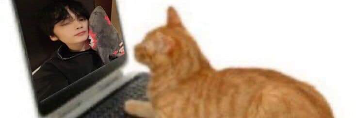 marifioalvarez's profile banner image