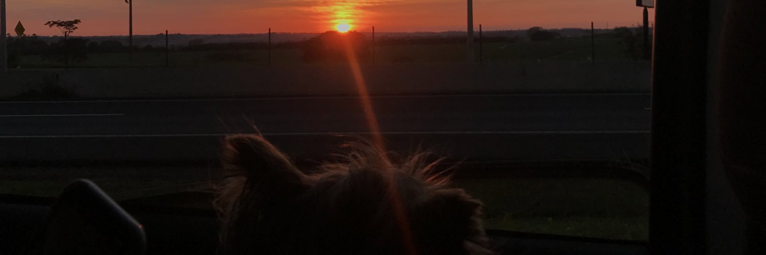 juliaazborges's profile banner image