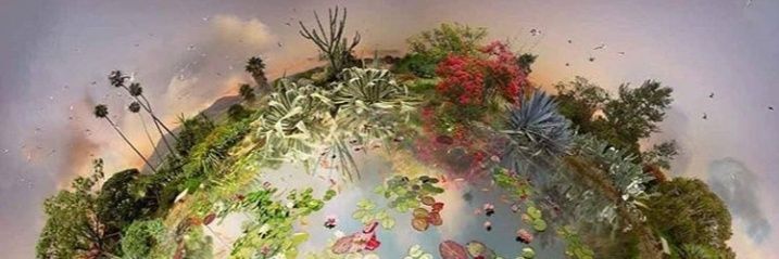 MAMolina10's profile banner image