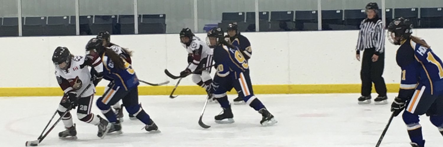 CaledonCoyotes's profile banner image